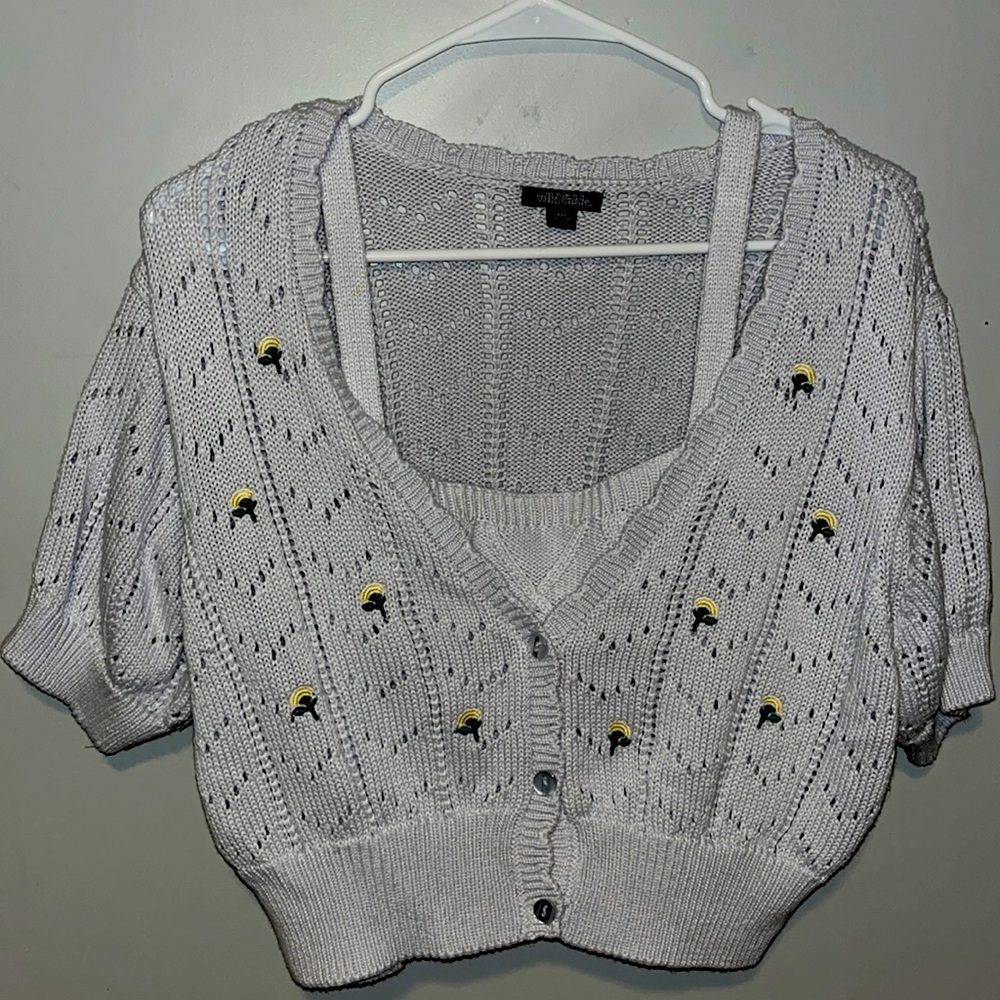 Baby Blue Wild Fable Cropped Sweater Set